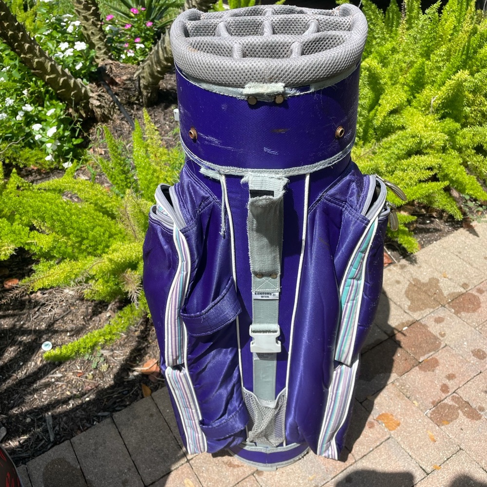 Ladies cart bag